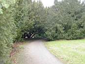 Idag 2004-02-08 017.jpg